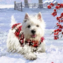 Käthe Wohlfahrt Adventsdeko & Kalender<Adventskalender "Hunde-Weihnacht"