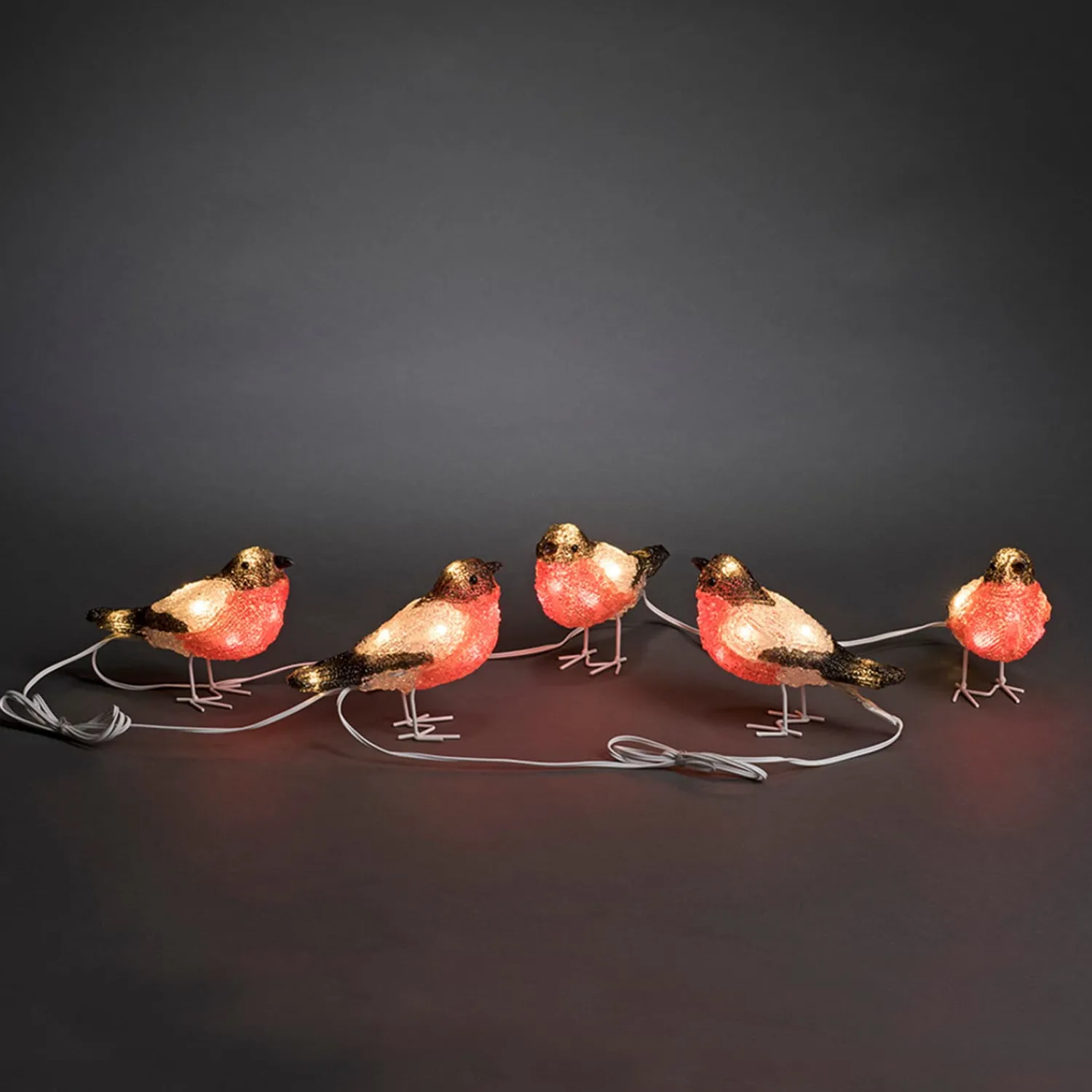KONSTSMIDE Beleuchtung Außenbereich<Led Acryl Rotkehlchen