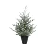 Käthe Wohlfahrt Künstliche Weihnachtsbäume<Weihnachtsbaum Im Topf, Beschneit, 75 Cm